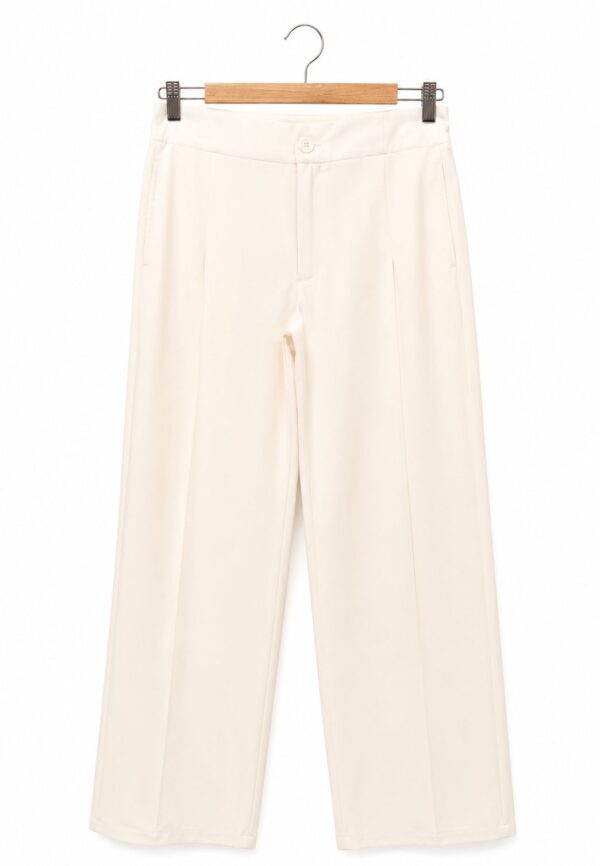WhatsApp Image 2026-05-30 at 17.25.09 2 Pantalon sastrero wide leg pinzado