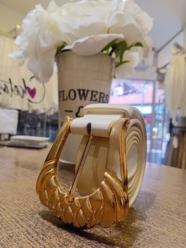 20250827_120427 Cinto ecocuero