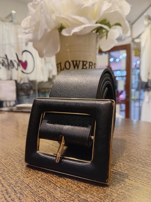 20251107_174401 Cinto eco cuero