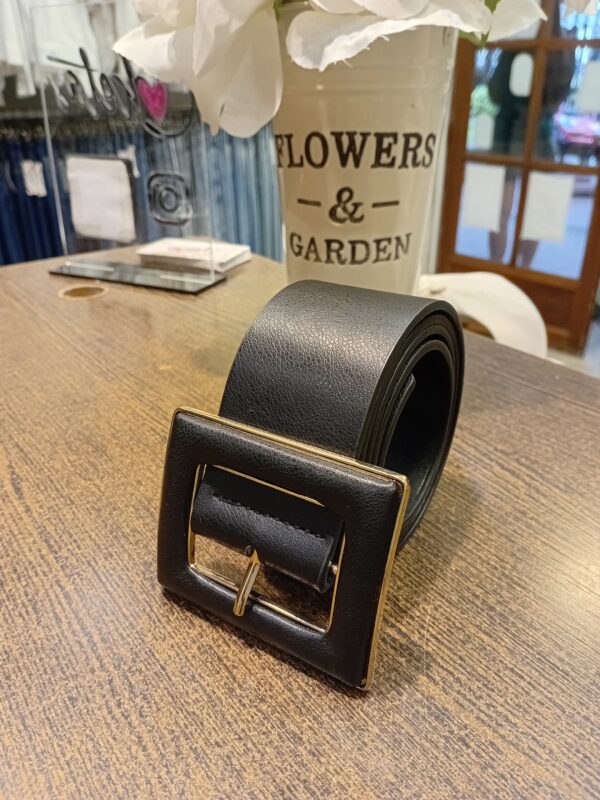 20251107_174412 Cinto eco cuero