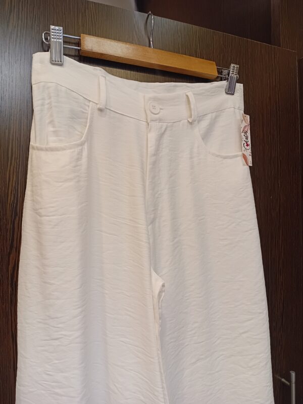 20251112_173724 Pantalon sastrero palazo