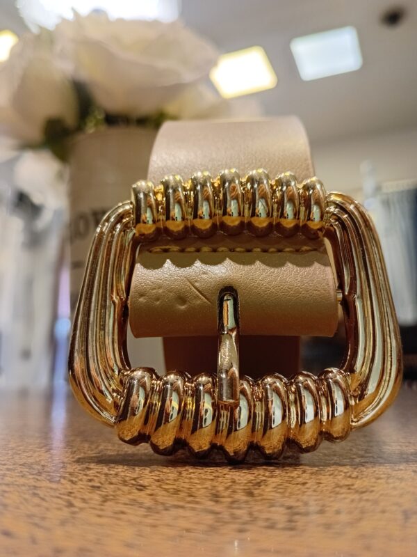 20251121_155716 Cinto eco cuero