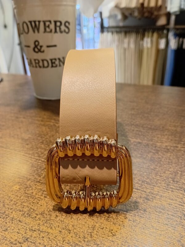 20251121_155724 Cinto eco cuero