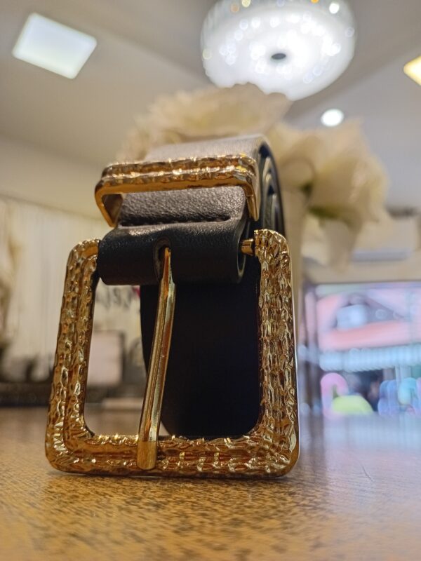 20251121_163417 Cinto eco cuero