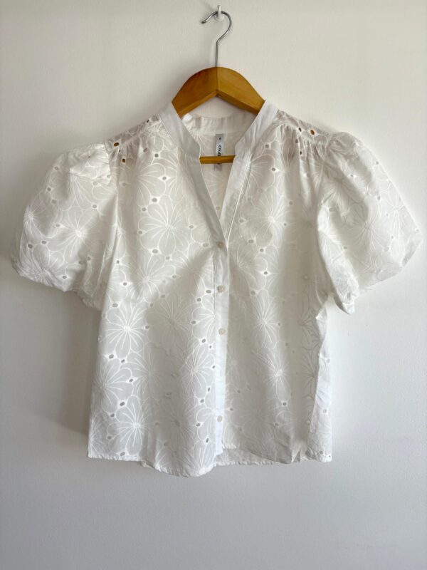 WhatsApp Image 2025-11-25 at 14.24.36 5 Camisa manga princesa flores bordadas