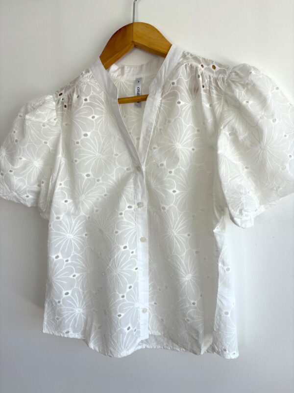 WhatsApp Image 2025-11-25 at 14.24.52 6 Camisa manga princesa flores bordadas