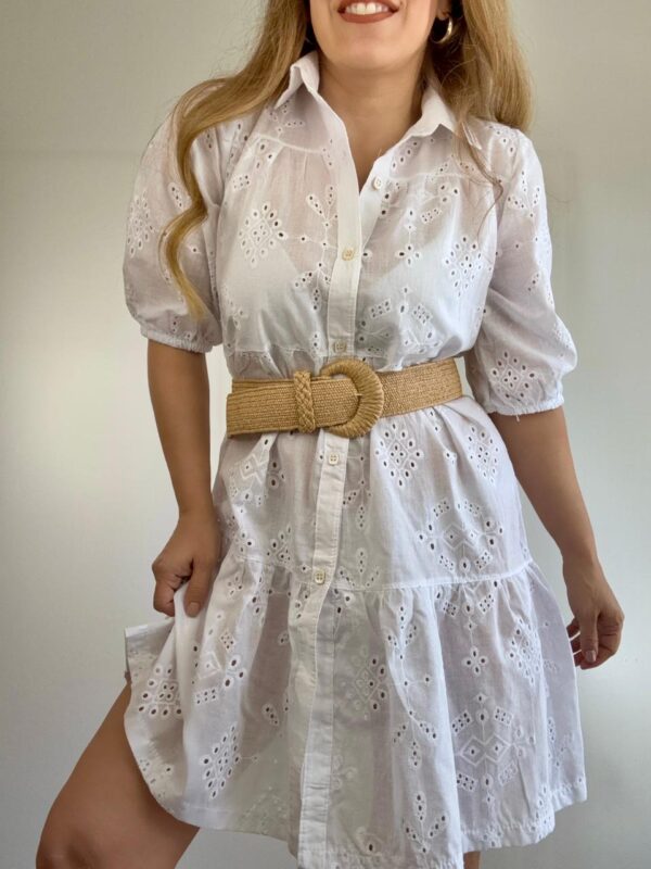 WhatsApp Image 2026-01-27 at 15.32.16 2 Vestido corto broderie